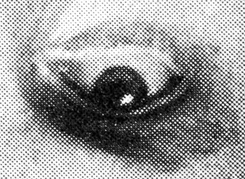 Atlas und Grundriss der Psychiatrie (The look), 2013