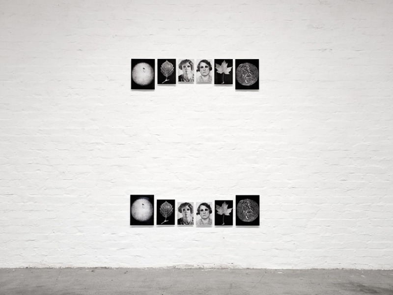 The Latest Knowledge, 2012