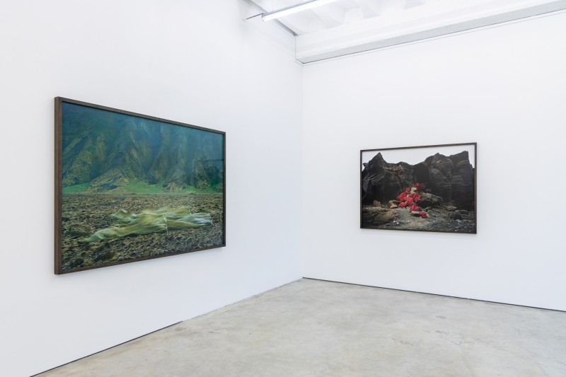 Installation view, 'Phantasma'