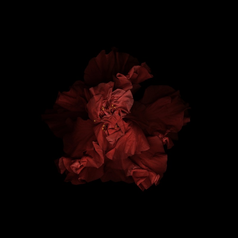 Red XLVI, 2006-2010