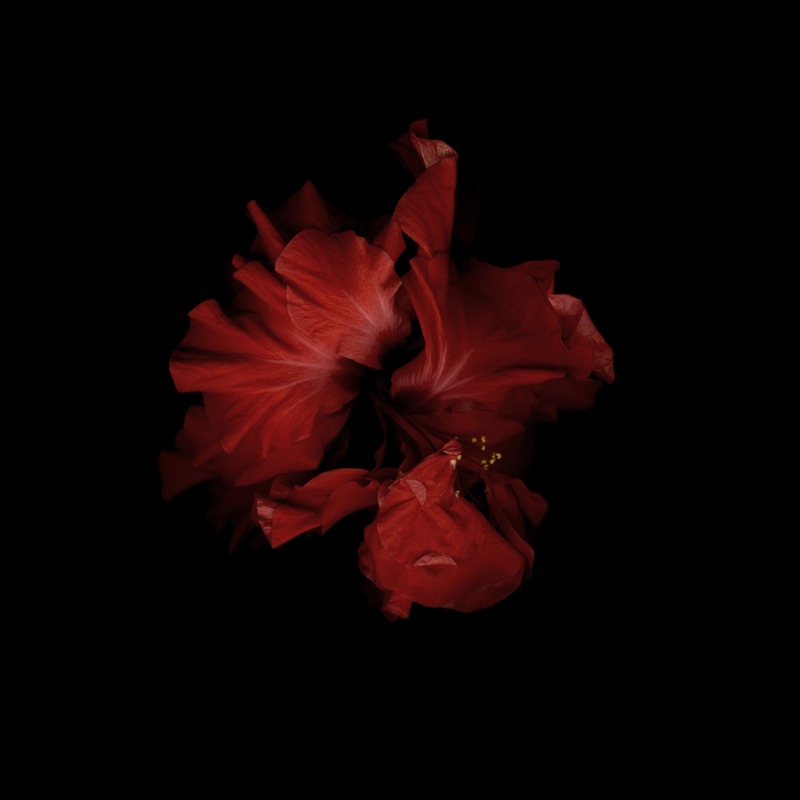 Red LXIV, 2006-2010