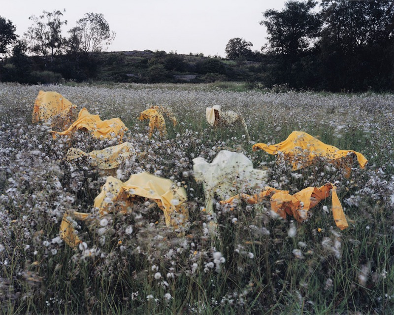 VESPERTINE I, 2002