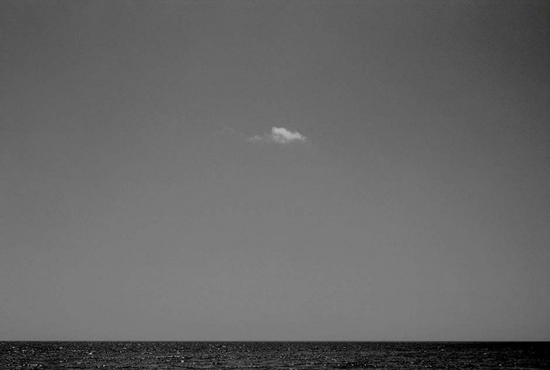 Este Camino Largo, 2004