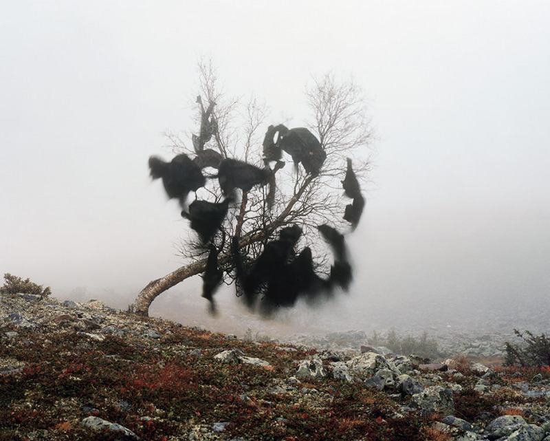WIND´S NEST, 2005