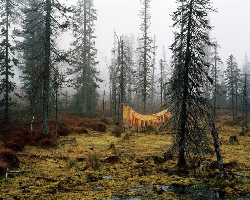 SHELTER, 2005