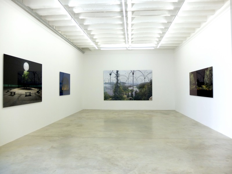 Installation view, 'The Museum of Nature'