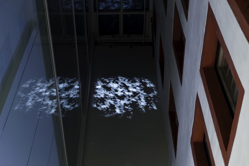 Installation view, 'Air Wants To Go'