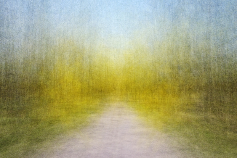 Path (moments) Spring 4