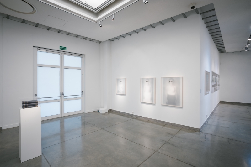 Installation view, 'Images Falling From the Sky'