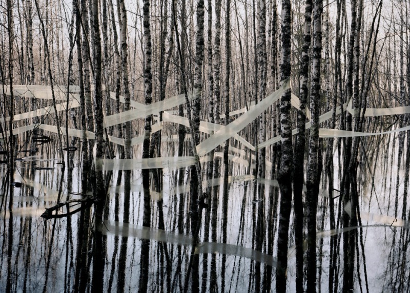 SERENE, 2013
