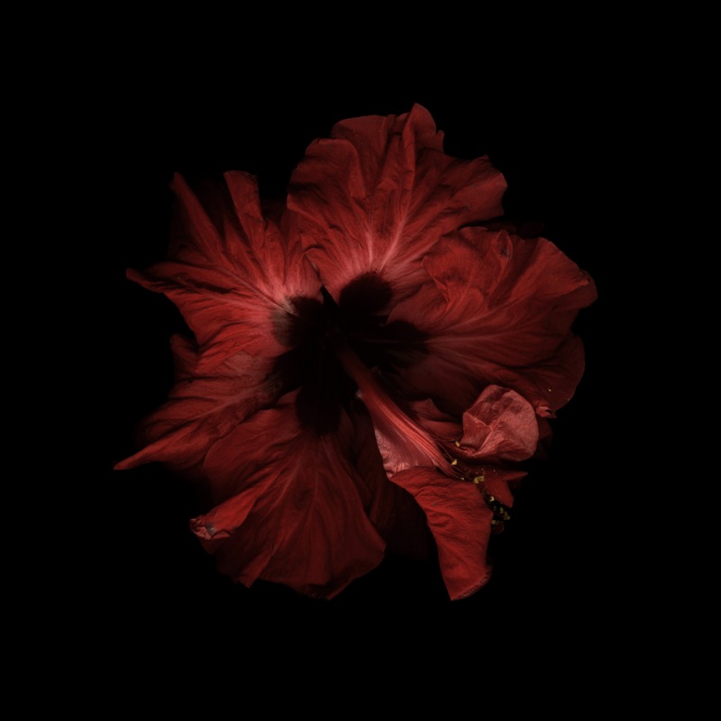  Marjukka Vainio – Kimono 
