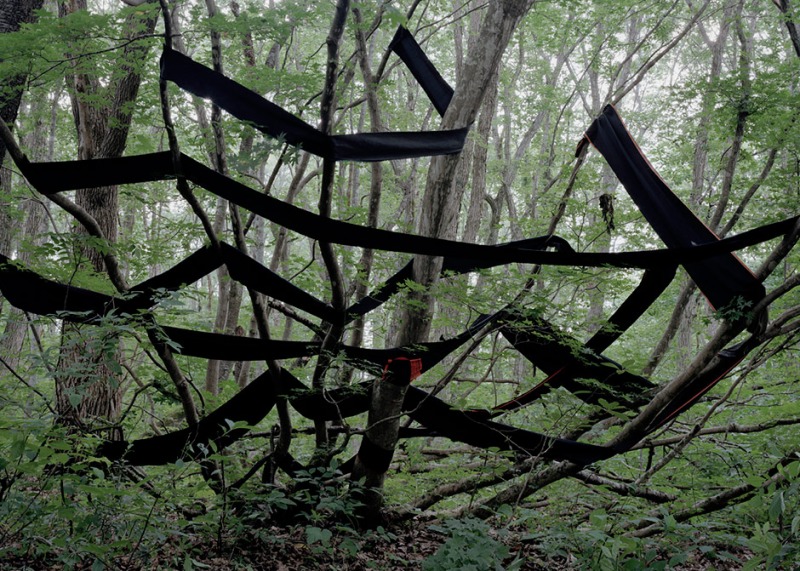 Black Obis, 2005