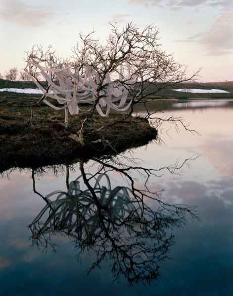 DUSK, 2014