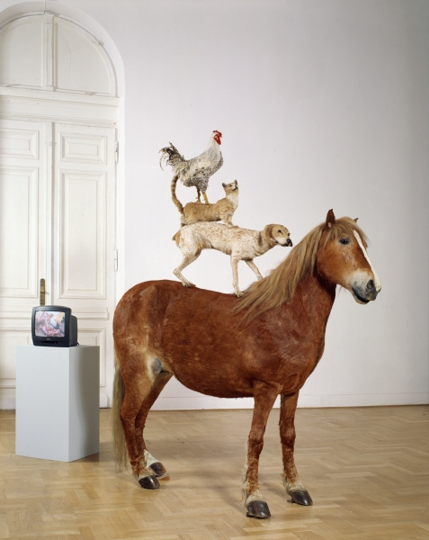 Katarzyna Kozyra and Zofia Kulik at Zachęta National Gallery of Art