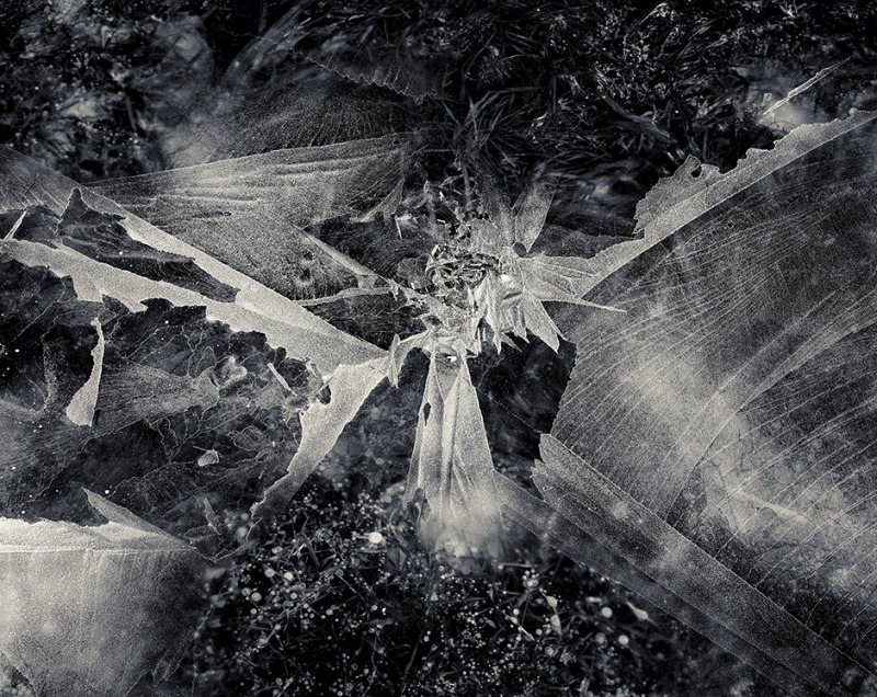 Ice I, 1991
