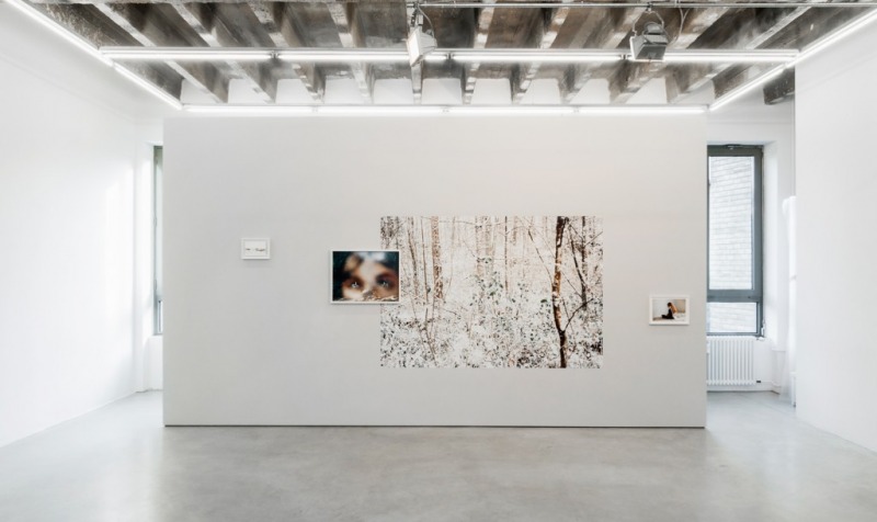Installation view, 'Light of Other Days'