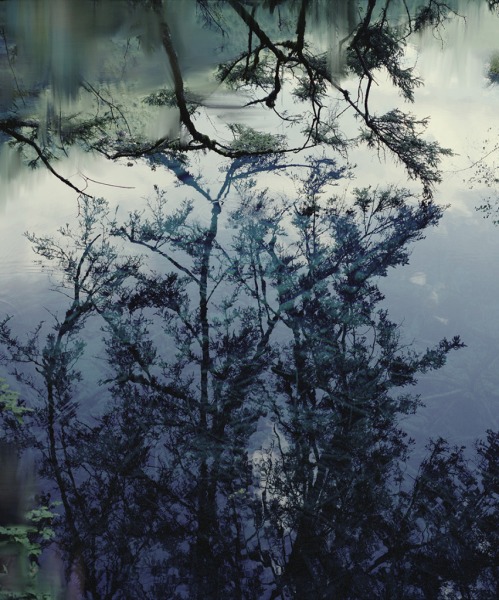 Untitled (Lake 5)