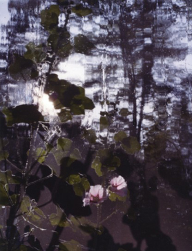 Jorma Puranen: Surfaces and Scenes Beyond