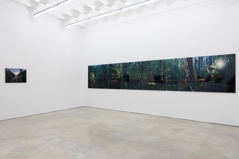 Installation view, 'The Art of Renewal'