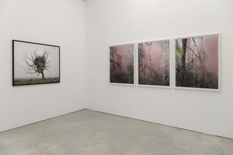 Installation view, 'THS - The Nature of Being