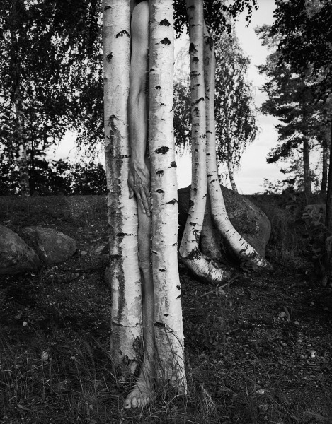 Väisälänsaari, Finland