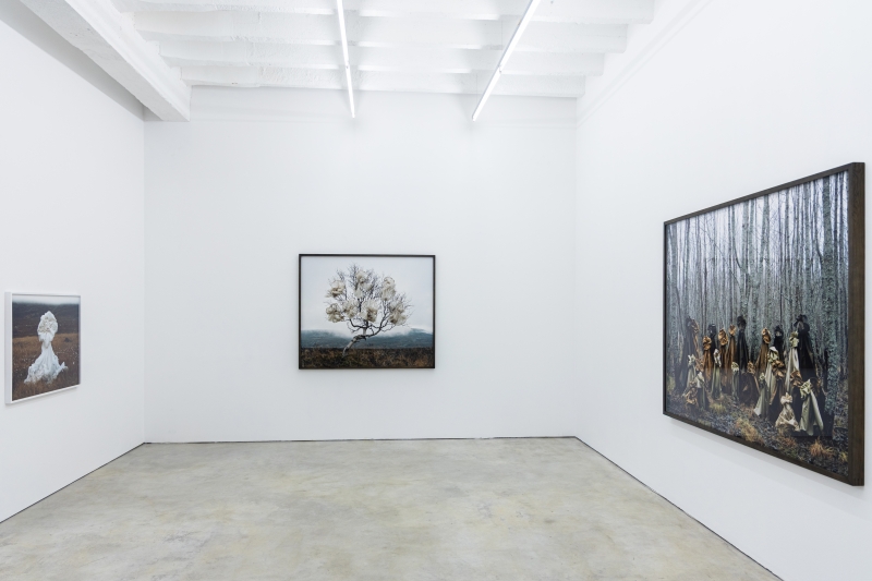 Installation view, 'Phantasma'