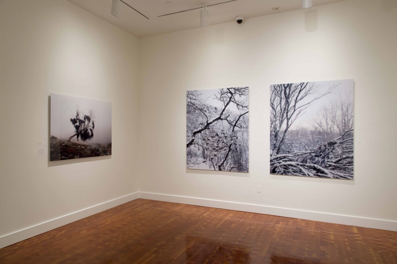Installation view, 'New Wave Finland: Contemporary Photography from the Helsinki School'