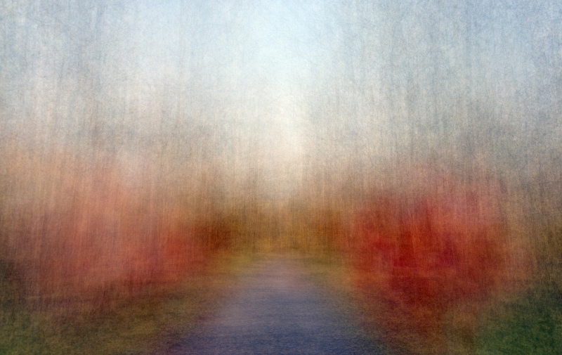 Path (moments) Autumn 3