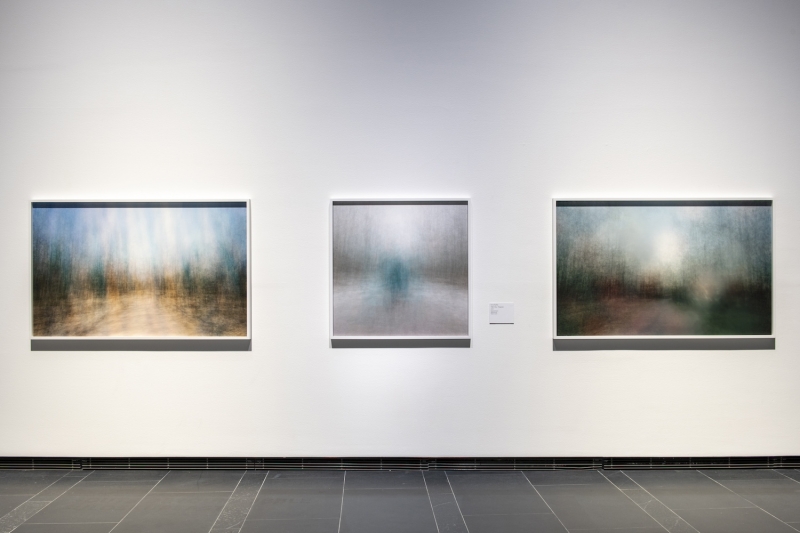 Installation view, 'CATCH'