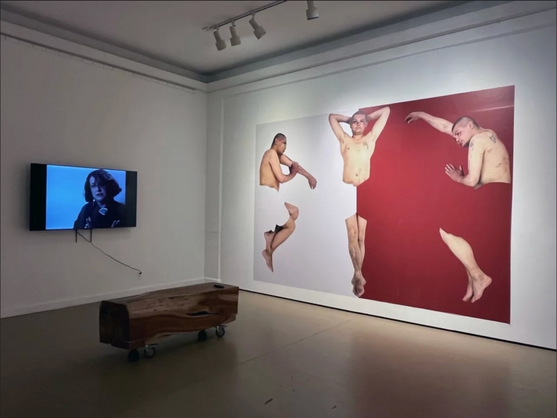 Katarzyna Kozyra at East Hawaiʻi Cultural Center