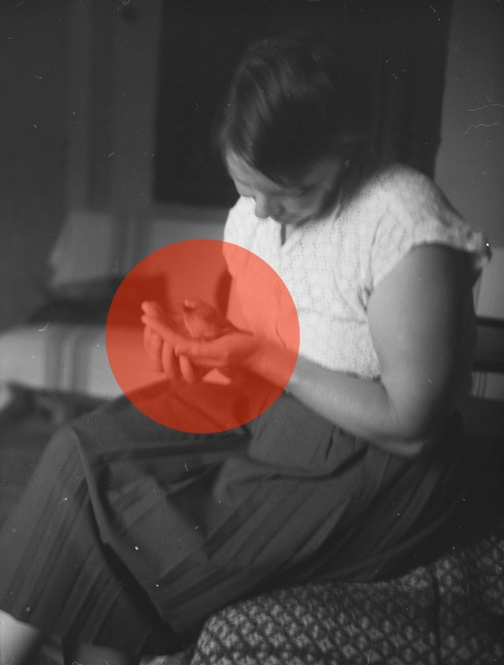 Composition Studies (Focus)