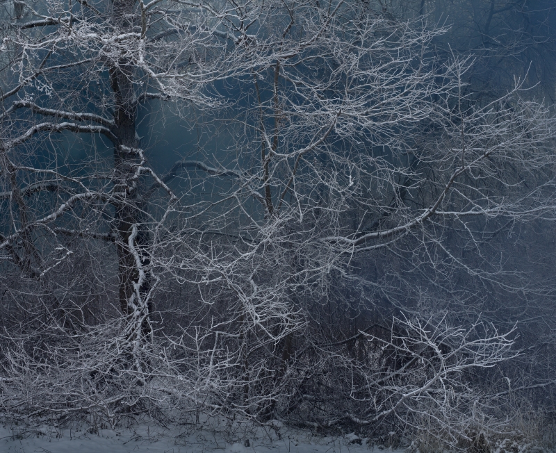 Sandra Kantanen | Smokeworks