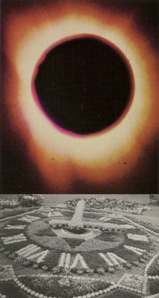 Gravity Experiments and Cyclic Phenomena, 2021