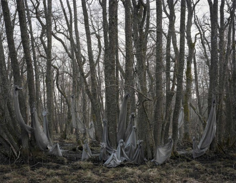 Verdure, 2019