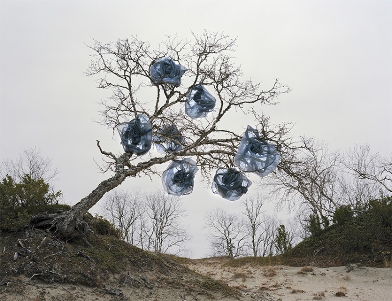 Celestial, 2019
