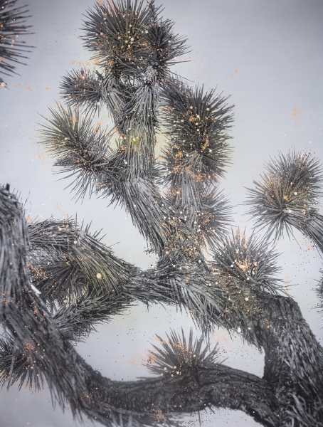 Portrait in Blue (Joshua Tree)