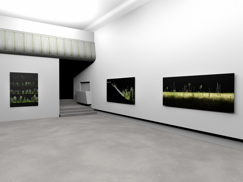 Installation view, 'The Anatomy of Landscape'