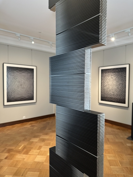 Niko Luoma at Emil Aaltosen Museo