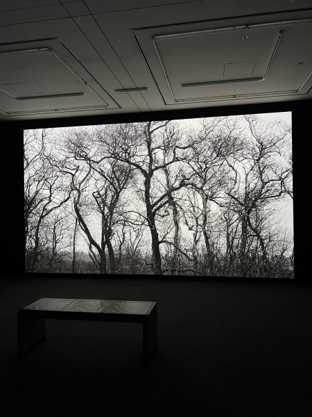 Elina Brotherus and Santeri Tuori at Hamburger Kunsthalle