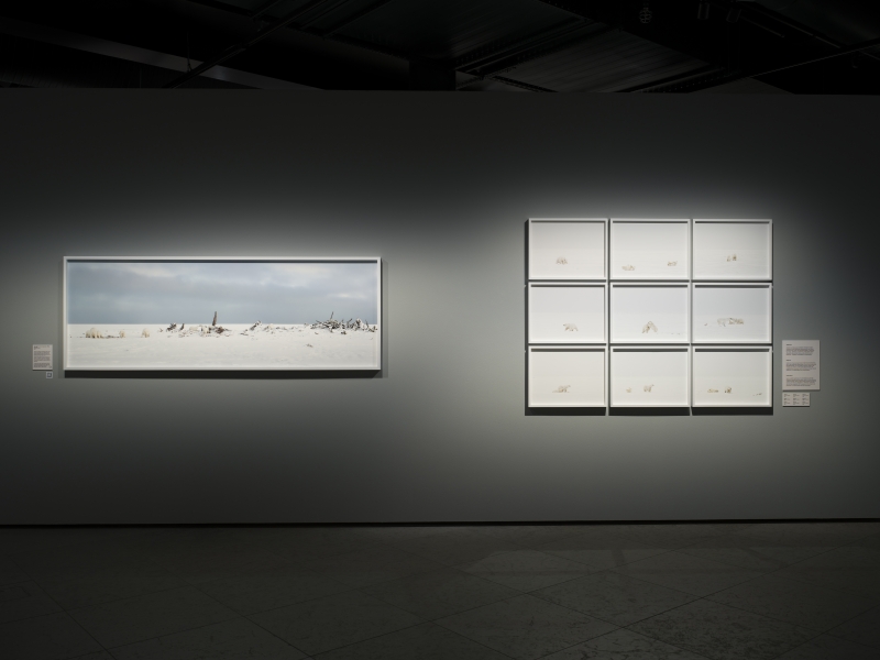Tiina Itkonen | Anori – Silence of the Glacier