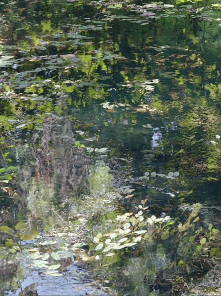 Sandra Kantanen, Eeva Karhu, Jorma Puranen, Santeri Tuori | Eye on Nature