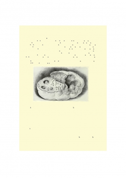 Milja Laurila at the National Library of Finland