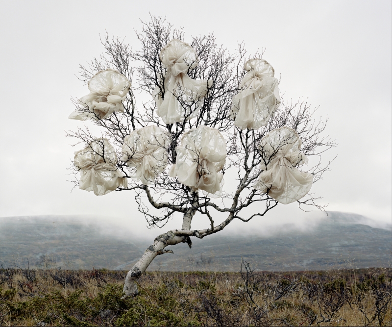 Origin of Clouds, 2026
