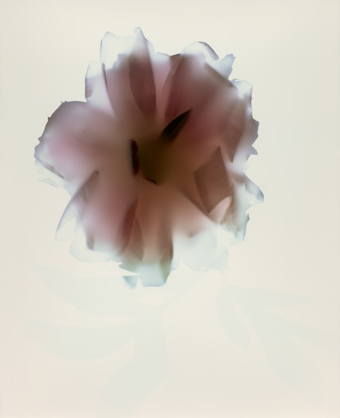 Poeny I, 2018