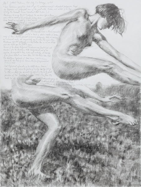 Plate 41
