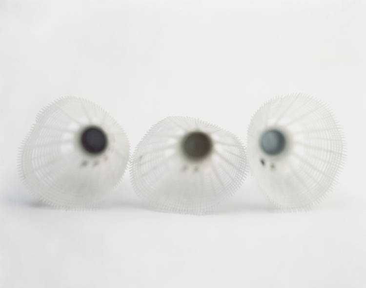 Possibility of the Universal movement #1, 2004