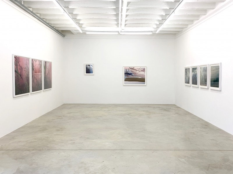 Installation view, 'Smokeworks'