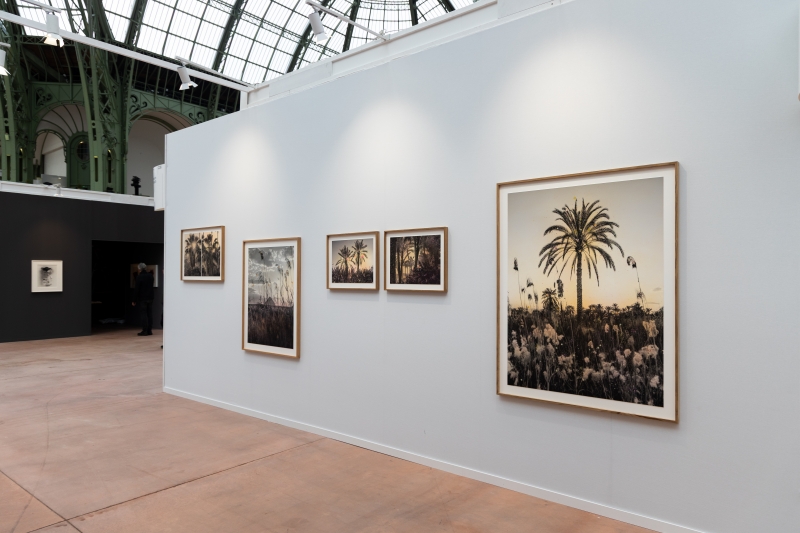 Installation view, 'Painted Oasis'