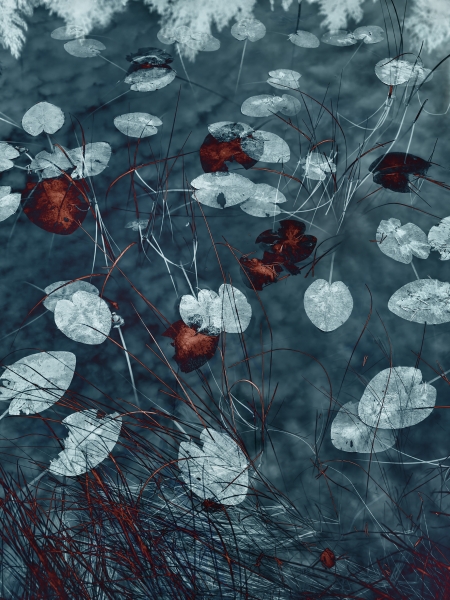 Santeri Tuori at Purdy Hicks Gallery