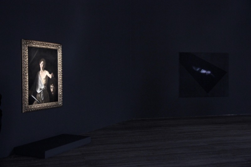 Installation view, 'Sanguine/Bloedrood'
